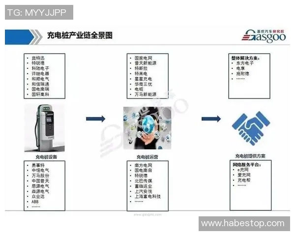 北京篮球队转型之路的挑战与机遇全景解析